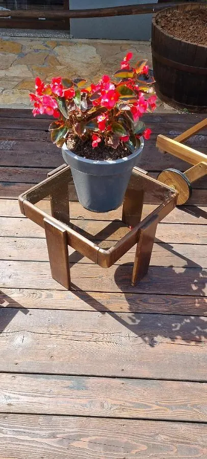 Apartmani Karoca Pula